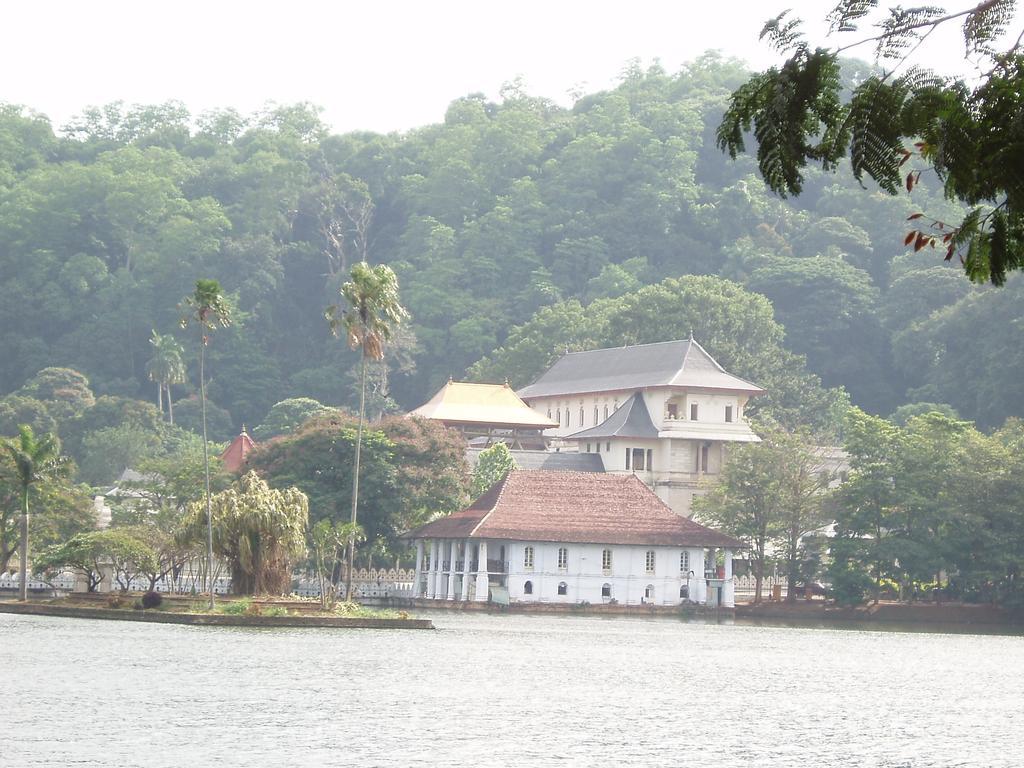 Strathisla Tea Estate Bungalow Matale Dış mekan fotoğraf