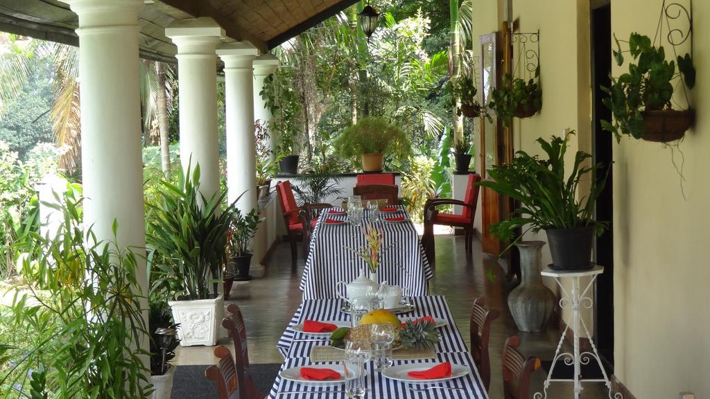 Strathisla Tea Estate Bungalow Matale Dış mekan fotoğraf
