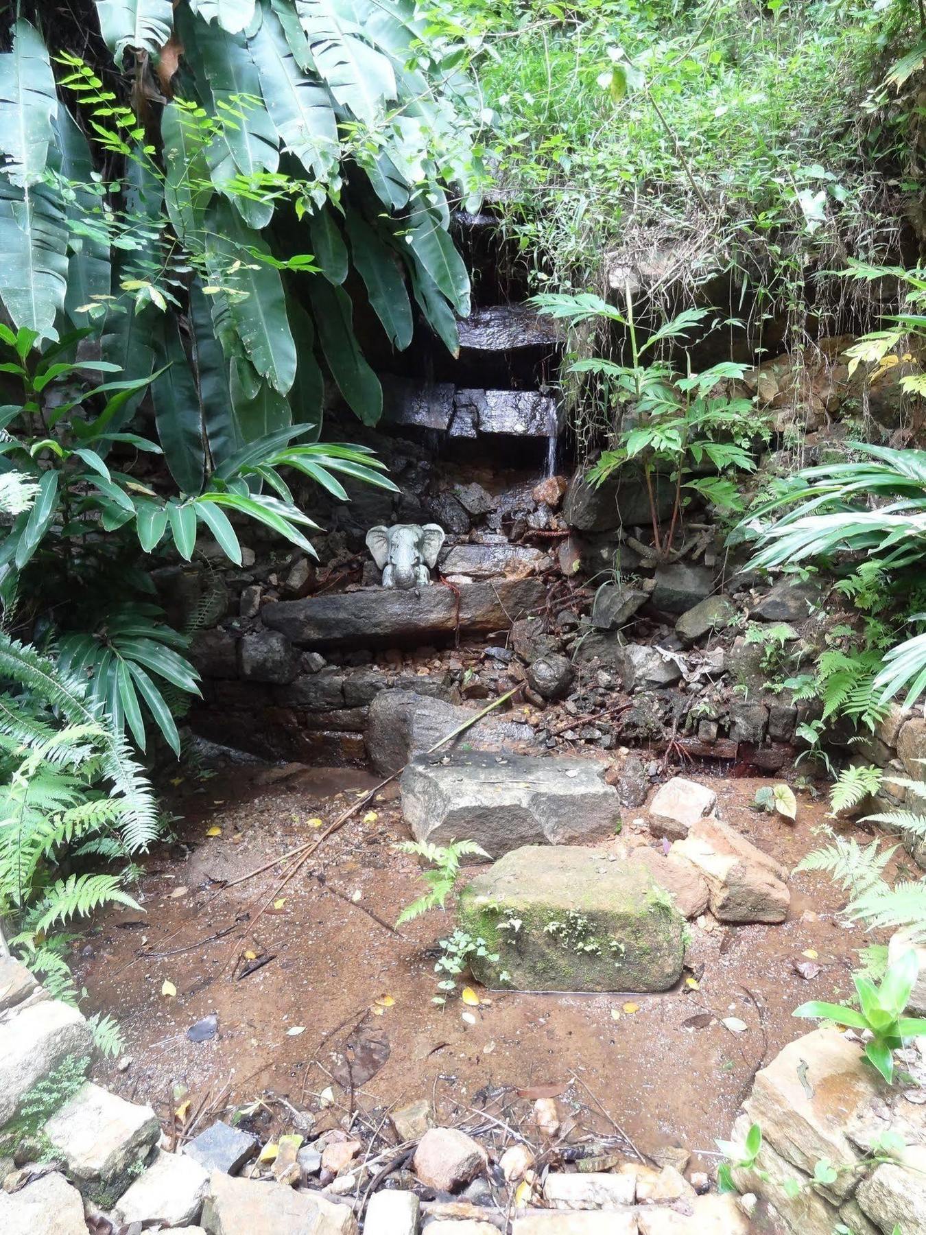 Strathisla Tea Estate Bungalow Matale Dış mekan fotoğraf