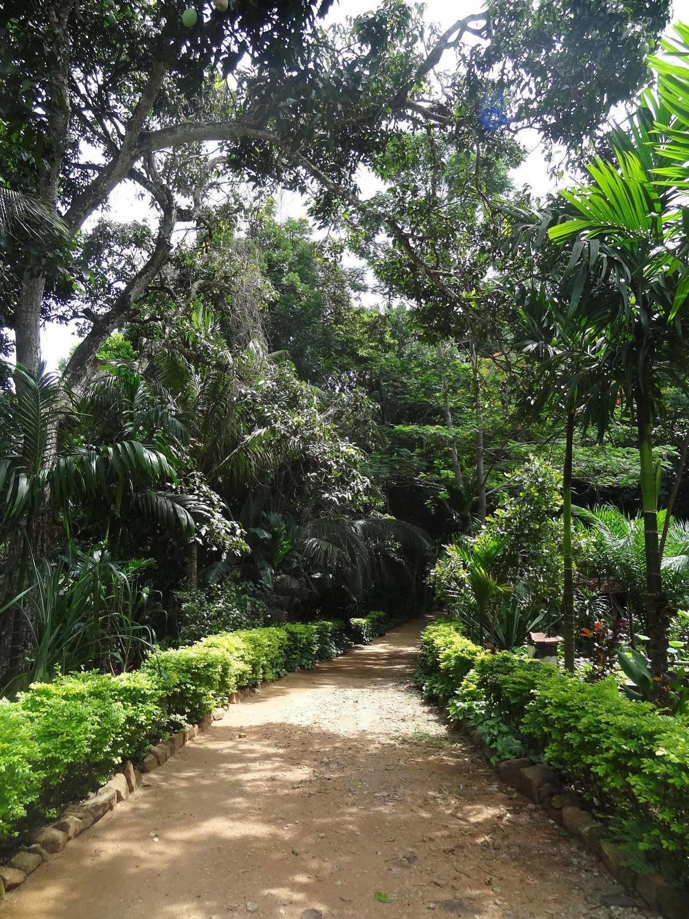 Strathisla Tea Estate Bungalow Matale Dış mekan fotoğraf