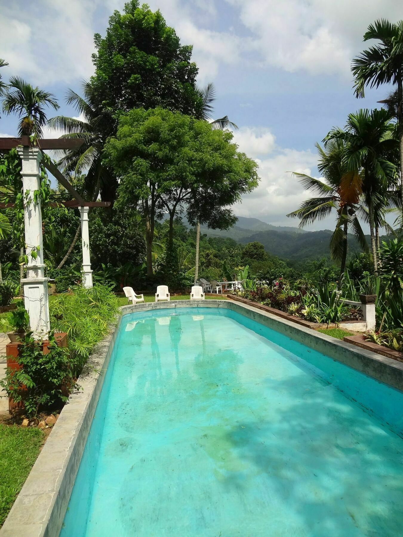 Strathisla Tea Estate Bungalow Matale Dış mekan fotoğraf