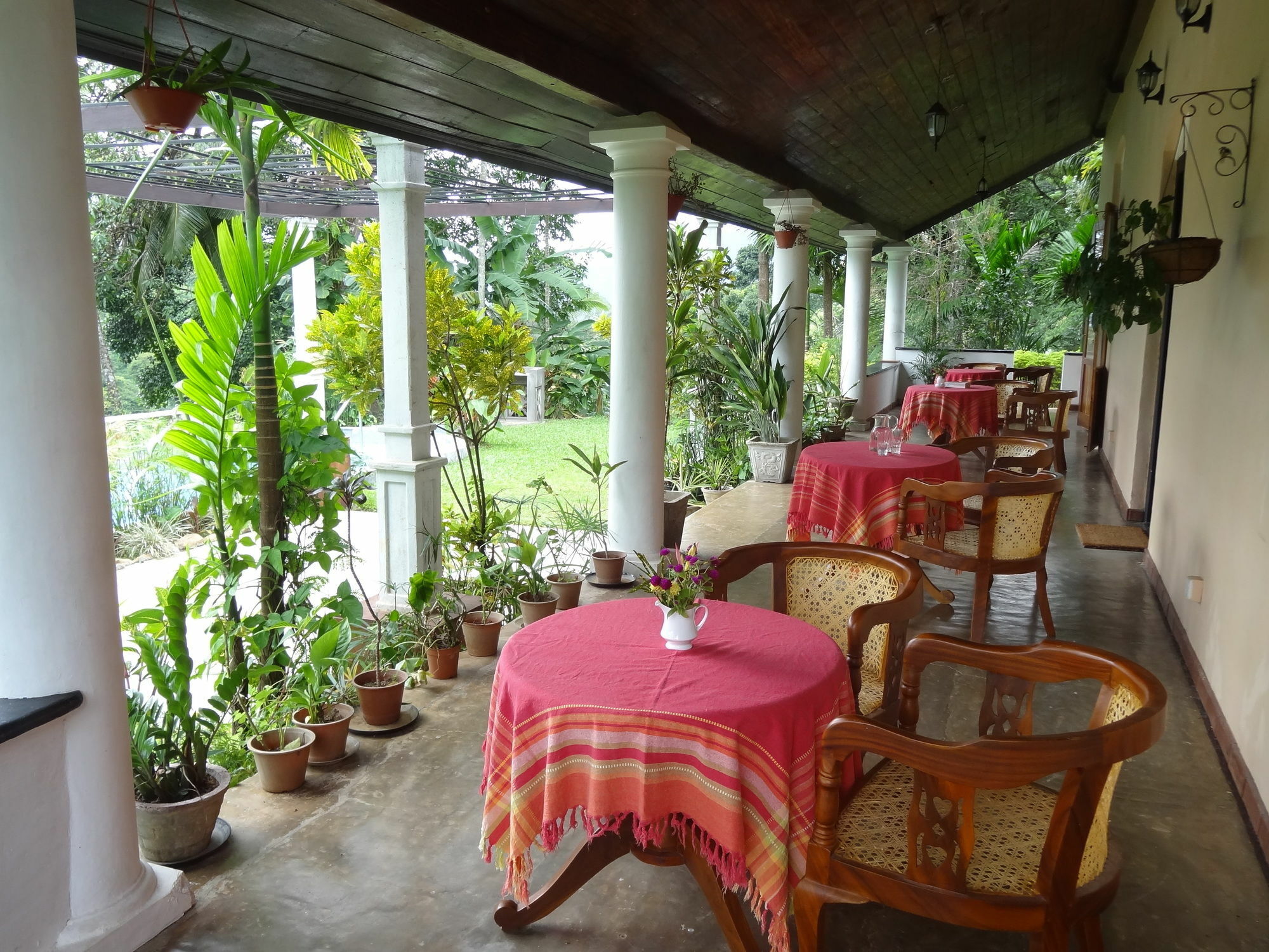 Strathisla Tea Estate Bungalow Matale Dış mekan fotoğraf