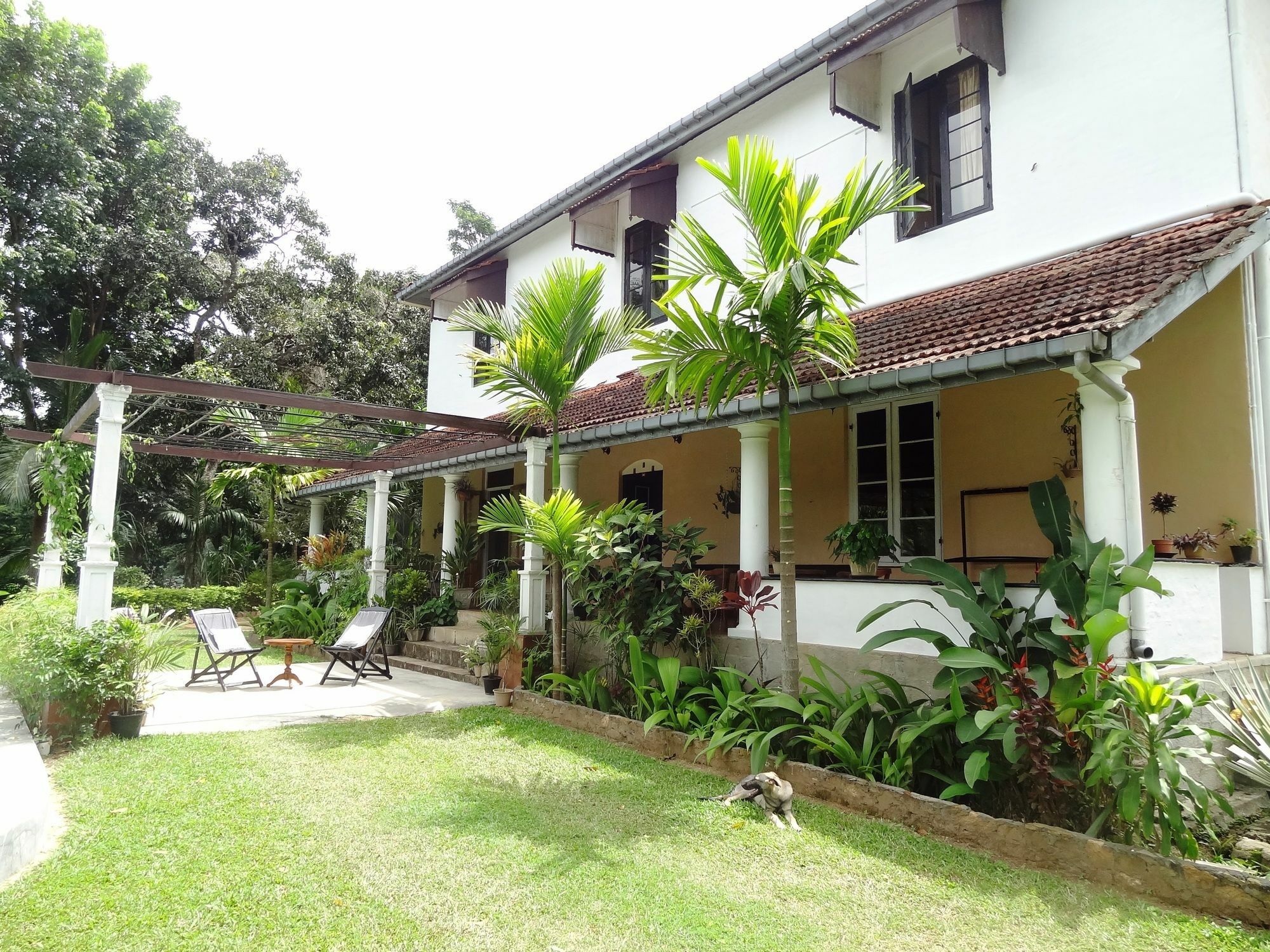 Strathisla Tea Estate Bungalow Matale Dış mekan fotoğraf